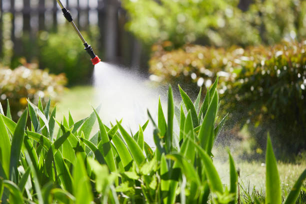 24/7 Emergency Mosquito Control experts in Clarksville, IN